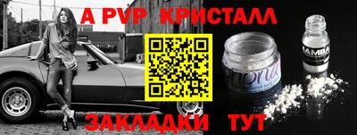 прущие грибы Славгород