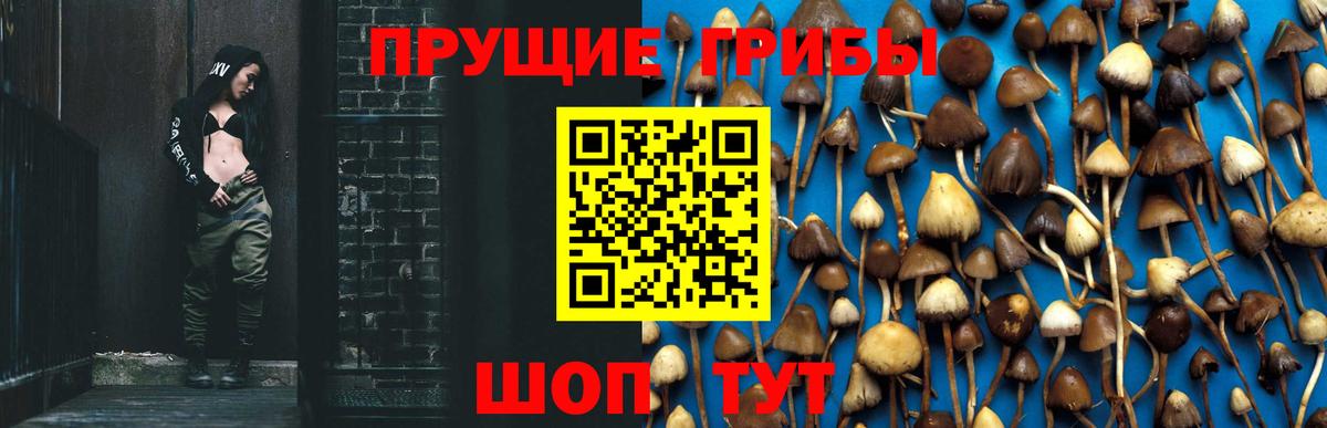 Галлюциногенные грибы Magic Shrooms  Галлюциногенные грибы ЛСД  Вход с VPN  как найти закладки  Орск 
